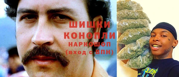 Альфа ПВП Алзамай