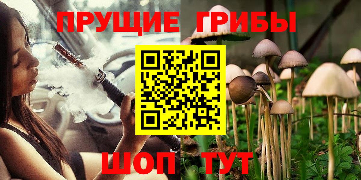 Галлюциногенные грибы MAGIC MUSHROOMS  Вход с VPN  Красноярск 