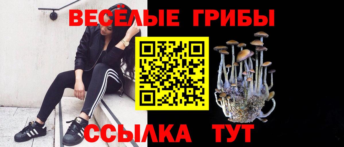 Галлюциногенные грибы Cubensis Красноярск
