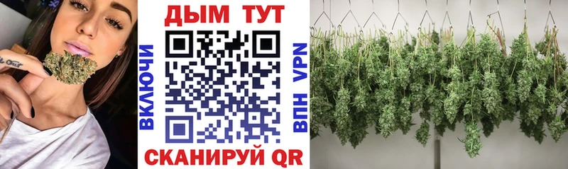 Каннабис конопля  где можно купить наркотик  Красноярск 